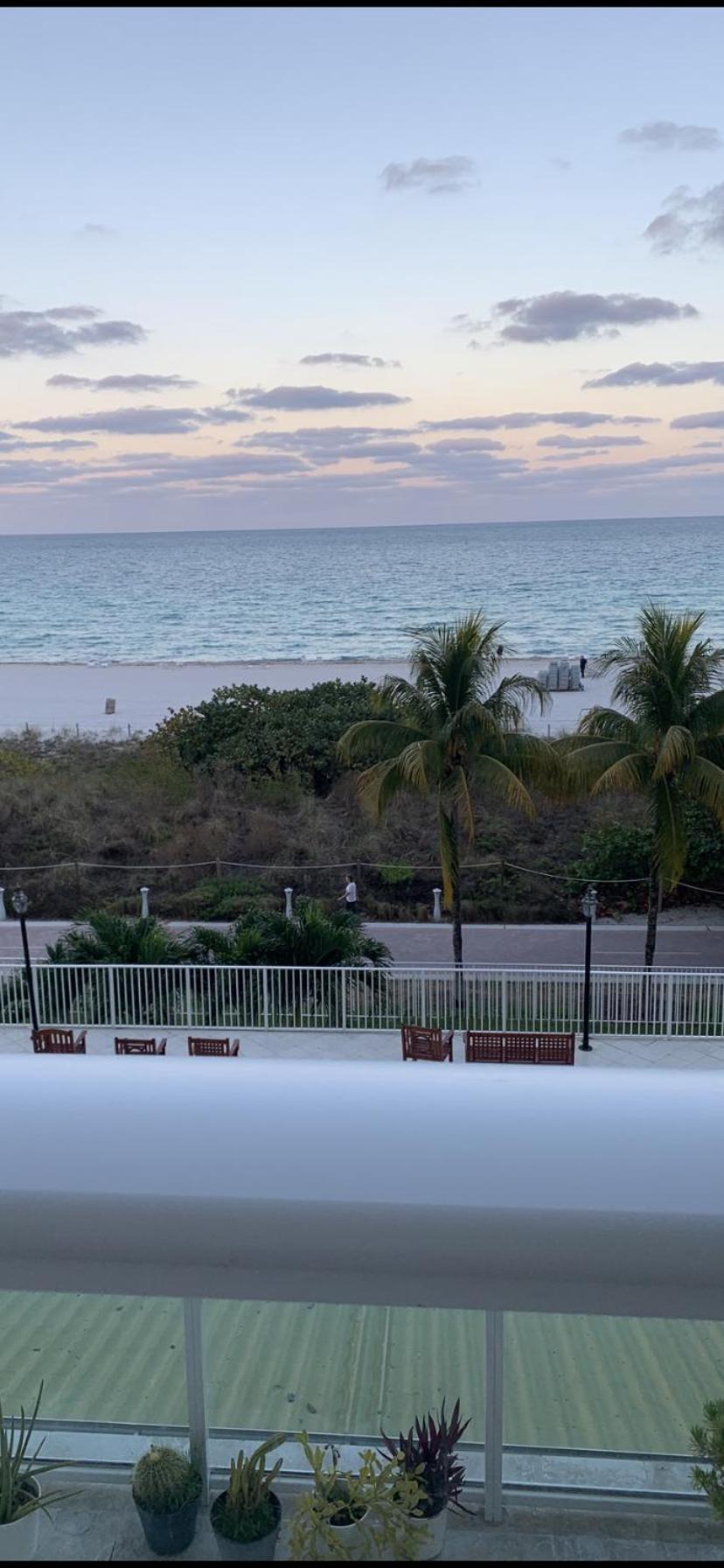 Pavilion Miami Beach Dış mekan fotoğraf